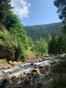 Příroda nedaleko penzionu – hostince