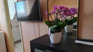 two vases with purple flowers on a table next to a tv at Oázis Hotel Étterem in Kiskunfélegyháza
