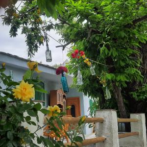 Zahrada ubytování Alpujarra Guesthouse, remote off-grid mountain accommodation