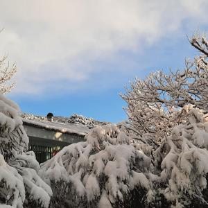 Alpujarra Guesthouse, remote off-grid mountain accommodation v zimě