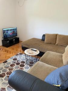 a living room with two couches and a tv at Entire 1-bedroom apartment with free parking in Podgorica