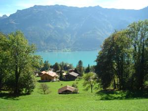 Paesaggio naturale nelle vicinanze dell'hotel