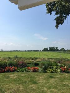 a garden with flowers and a field in the background at Ferienwohnung auf dem Land in Wangerland