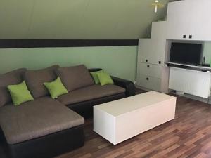 Televízia a/alebo spoločenská miestnosť v ubytovaní Mecsek apartman