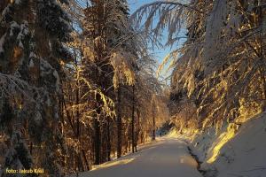 Pension Aspen v zime