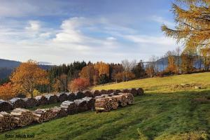 Gallery image of Pension Aspen in Železná Ruda