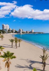 a beach with palm trees in front of the ocean at Estudiotel Heart of Alicante with sea view in Alicante