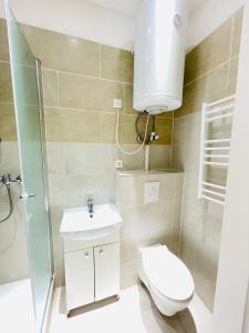 a bathroom with a toilet and a sink and a shower at Vienna Prater Apartments in Vienna