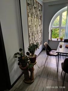 een kamer met potplanten, een tafel en een raam bij Dom Polski in Gjoemri
