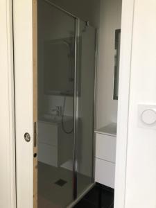 La salle de bains est pourvue d'une douche avec une porte en verre. dans l'établissement Chambre indépendante au Manoir de la Célinais côté jardin, à Saint-Aubin-du-Cormier
