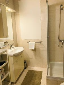 a bathroom with a sink and a shower at Kaala Old House Apartment in Supetarska Draga +24 photos