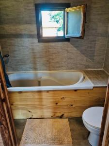 a bathroom with a tub and a toilet and a window at Studio Domaine du vieux chêne in Bergerac