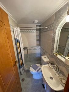 a bathroom with a sink and a toilet and a mirror at GIALOS APARTMENT in Elafonisos +14 photos