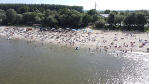 a group of people on a beach in the water at Albatros in Călăraşi
