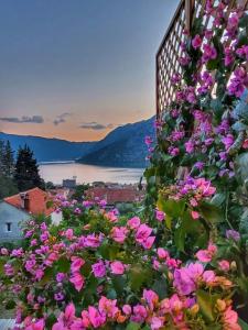 Une bande de fleurs sur le côté d'un bâtiment dans l'établissement Apartment Mint&Rose, à Risan