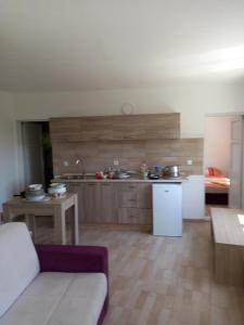 a kitchen with a couch and a table in a room at MD APARTMANI CANJ in Čanj