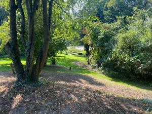 un árbol en medio de un parque en Kleines Ferienhäuschen im Grünen am Wasser, en Grönwohld