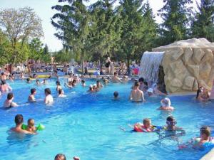 a large group of people in a swimming pool at Fortuna Vendégház in Sárospatak