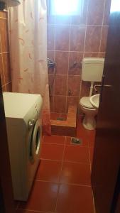 a small bathroom with a toilet and a sink at Farm house Godinje in Godinje