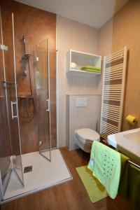 um banheiro com chuveiro, vaso sanitário e pia em Pension Liesertalerhof em Trebesing mais 117 fotografias