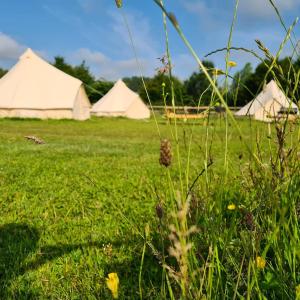 a field of grass with tents in the background at Bell tent glamping at Marwell Resort in Winchester