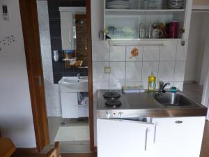 Kuchyňa alebo kuchynka v ubytovaní House Pox + 37 fotografií