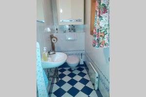 ein kleines Bad mit einem Waschbecken und einem WC in der Unterkunft Gemütliches Ferienhaus im Ennstal in Liezen