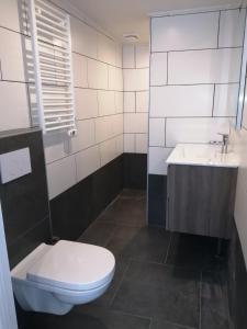 La salle de bains est pourvue de toilettes et d'un lavabo. dans l'établissement Het Denneke, à Veldhoven