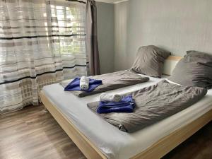 2 Betten neben einem Fenster in einem Schlafzimmer in der Unterkunft The Burgklause Boutique Hotel in Linz am Rhein