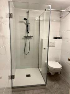 eine Duschkabine mit WC im Bad in der Unterkunft The Burgklause Boutique Hotel in Linz am Rhein + 20 Fotos