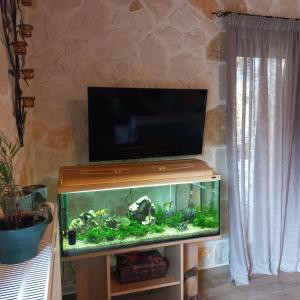 a fish tank with a tv on top of it at Villa Liberta in Keri