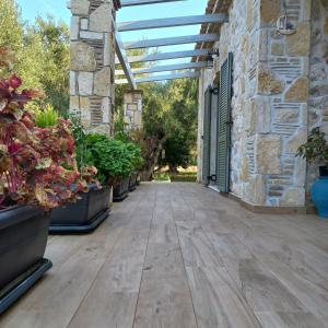 Zahrada ubytování Villa Liberta