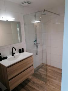 Un baño con lavabo y ducha en Park aan Zee, en Vlissingen 10 fotos más