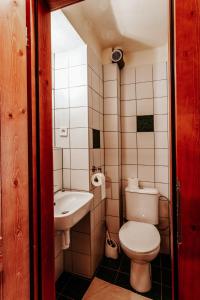La petite salle de bains est pourvue de toilettes et d'un lavabo. dans l'établissement Na Knížecí Husinec, à Husinec
