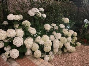 A garden outside Borgata Cantone Country House B&B