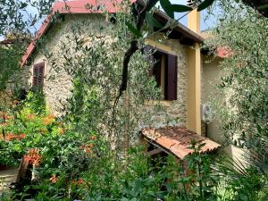 A garden outside Borgata Cantone Country House B&B