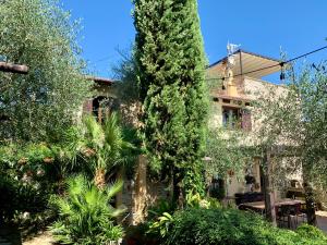 A garden outside Borgata Cantone Country House B&B