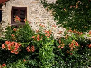 A garden outside Borgata Cantone Country House B&B