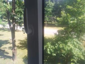 une fenêtre avec vue sur un parc avec un arbre dans l'établissement Gallery, à Narva