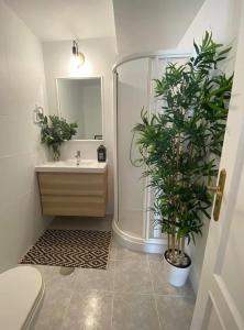 ein Badezimmer mit einer Dusche, einem Waschbecken und einer Pflanze in der Unterkunft Apartamento Rocio Donaña Matalascañas in El Rocío