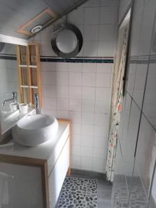 uma casa de banho com um lavatório e um chuveiro em Chez Chris em Jard-sur-Mer