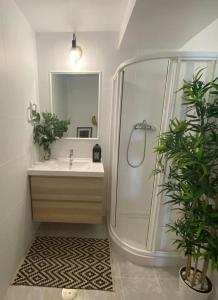 ein Bad mit einem Waschbecken und einer Dusche mit einem Spiegel in der Unterkunft Apartamento Rocio Donaña Matalascañas in El Rocío