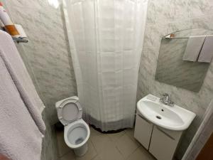 a small bathroom with a toilet and a sink at Гостиница Глория in Pyatigorsk