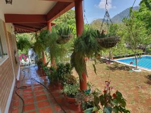 Pemandangan kolam renang di Casa Bosco Minca atau berdekatan
