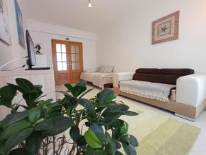 a living room with a couch and a plant at Dream on Peniche - Apartment in Peniche