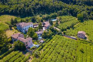 una vista aérea de una gran casa en un viñedo en Villa Faccioli Deodara With Shared Pool, en Colognola ai Colli