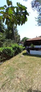 a grass yard with a building and a tree at Filio Rooms in Nikiti