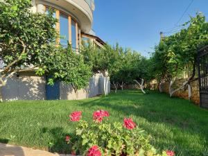 a yard with pink flowers and a fence at Vila Olserd Shehu in Ksamil