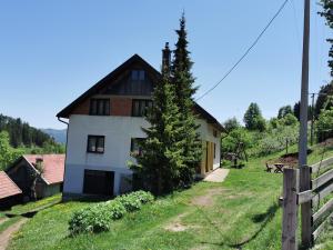 una casa en una colina con un árbol delante en Planinski Mir en Zaovine