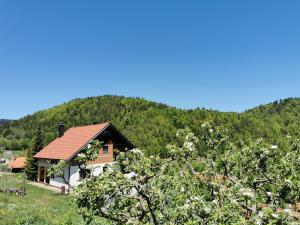 a house in the middle of a mountain at Planinski Mir in Zaovine